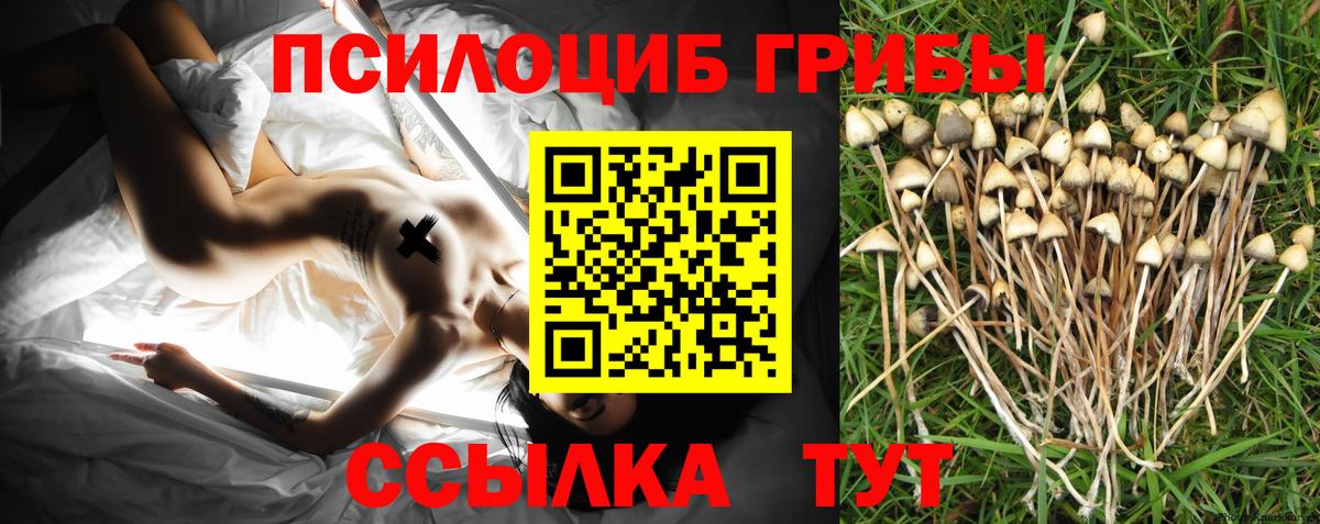 Красноперекопск  Галлюциногенные грибы Magic Shrooms  Вход с VPN 