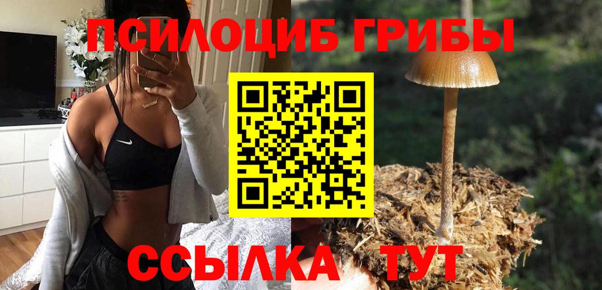 Псилоцибиновые грибы мицелий Красноперекопск